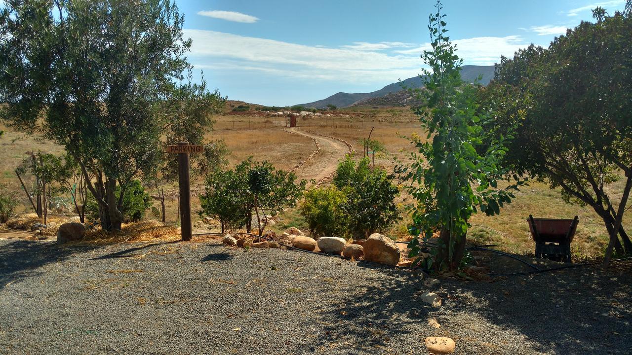 Vinofilia Wine Country Inn Valle de Guadalupe Exteriér fotografie